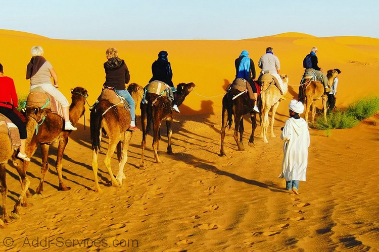 Actividades Al Desierto De Merzouga